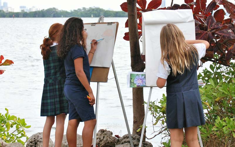 The Cushman School: A Unique Journey