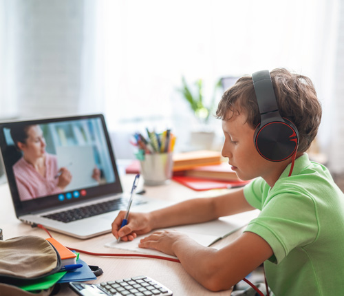 The Cushman Virtual School